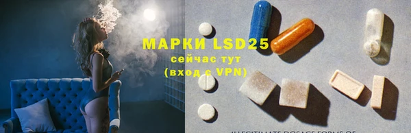 индика Алексин