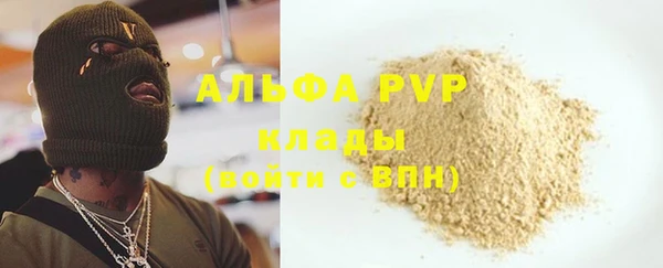 индика Алексин