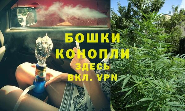 индика Алексин