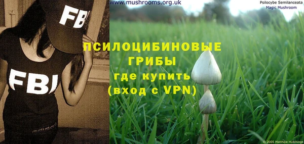 а пвп мука Алексеевка