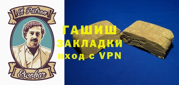индика Алексин