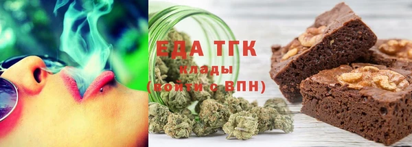 индика Алексин
