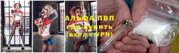 индика Алексин